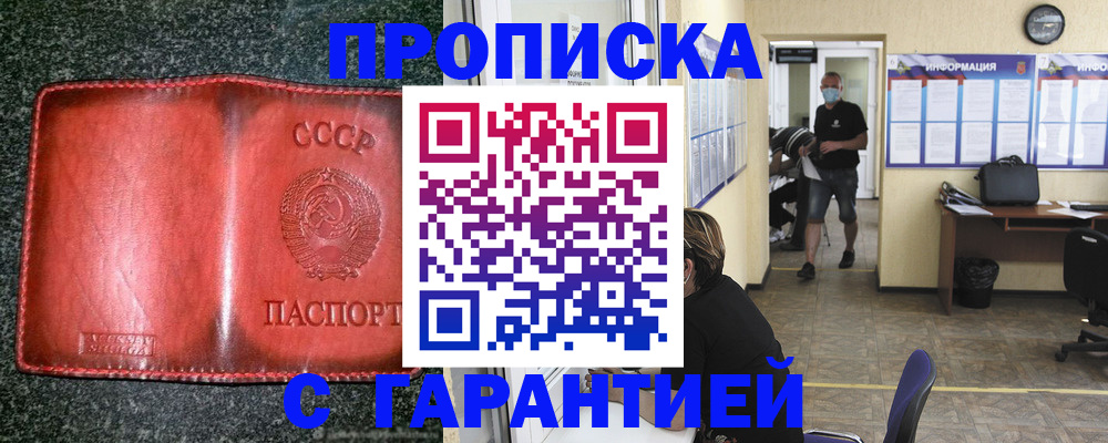 прописка гарантия в Малой Вишере